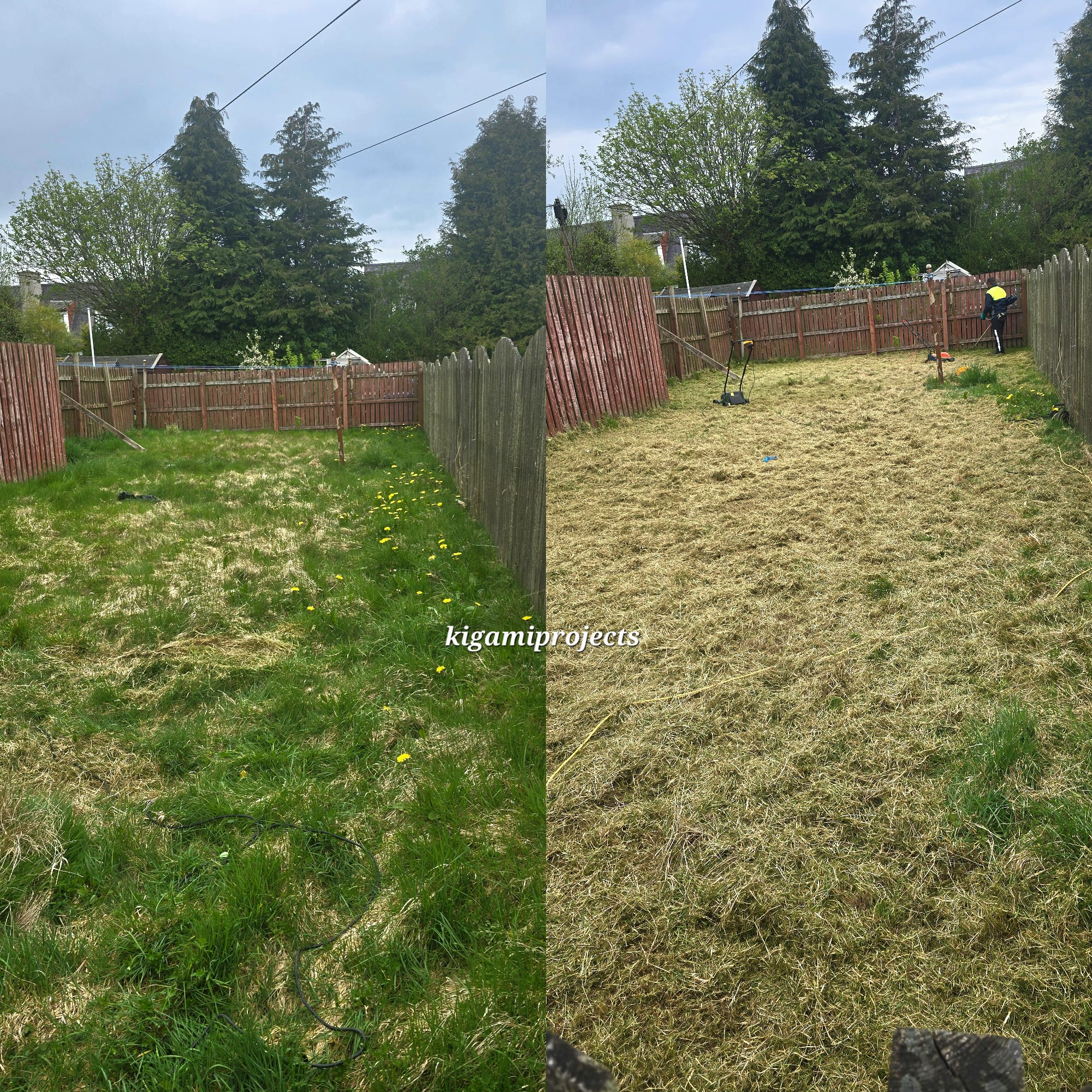 Community Cleanup